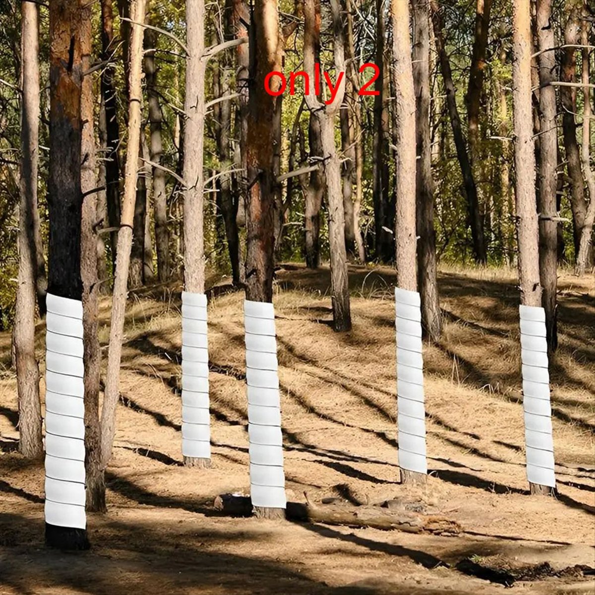 A75K Plant Tree Trunk Protecto - Gardening Hand Tools B&Q recension och pris