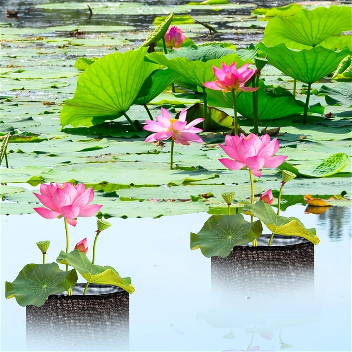 BHBL 4 Pcs X Aquatic Planting  - Gardening Hand Tools B&Q recension och pris