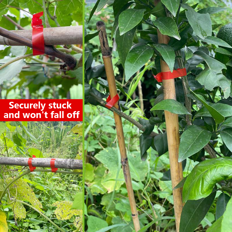 Garden Plants Branch Hand Tyin - Gardening Tools Kit For Home Garden recension och pris