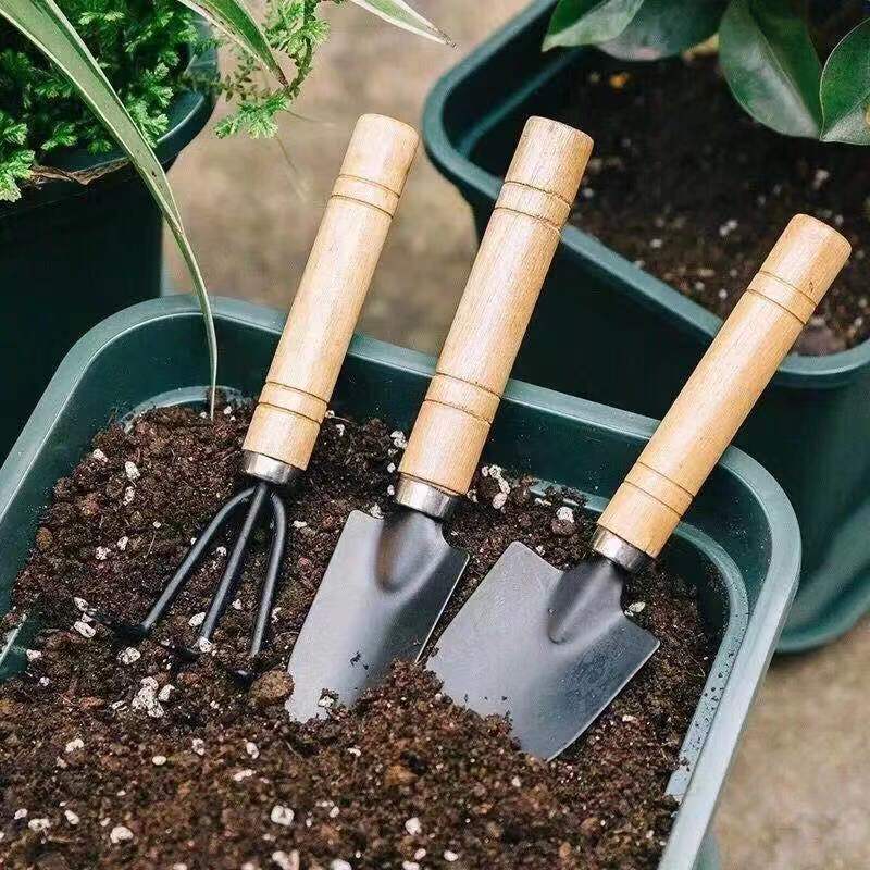 3PC/1Set Mini Gardening Tools  - Gardening Tools Gifts recension och pris
