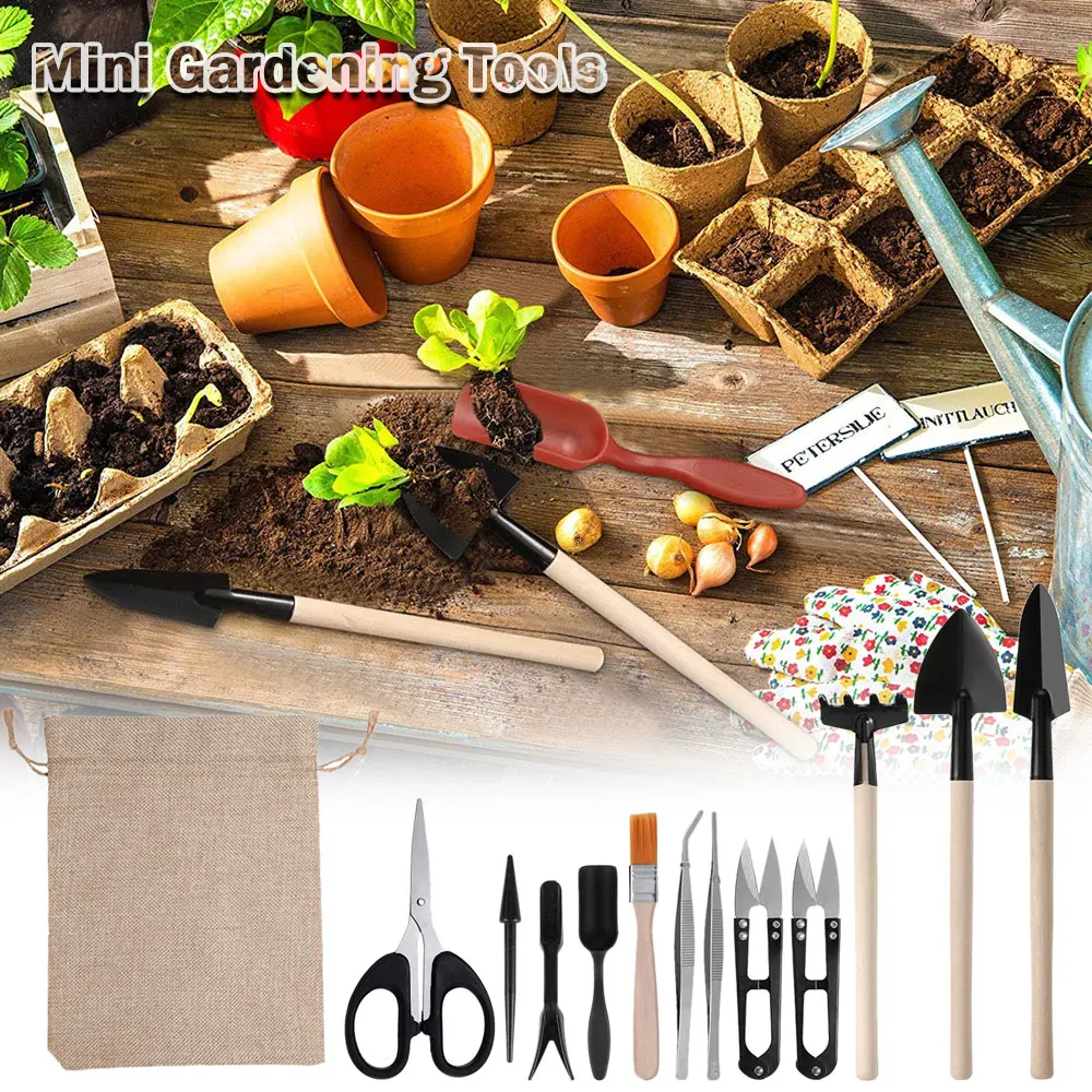 13PCS Succulent Plants Tool Se - Gardening Tools Kit For Home Garden recension och pris