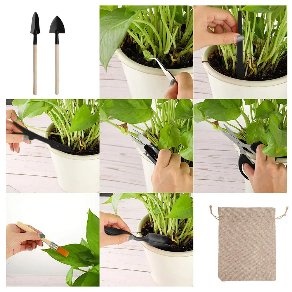 13PCS Succulent Plants Tool Se - Gardening Tools Kit For Home Garden recension och pris