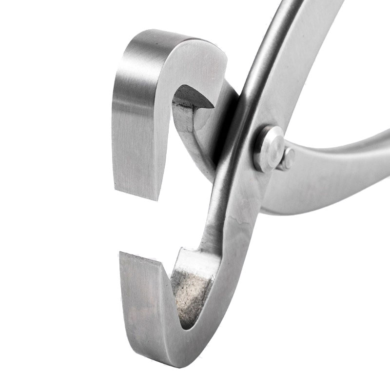 2pcs 210mm Stainless Steel Bon - Gardening Tools Australia recension och pris