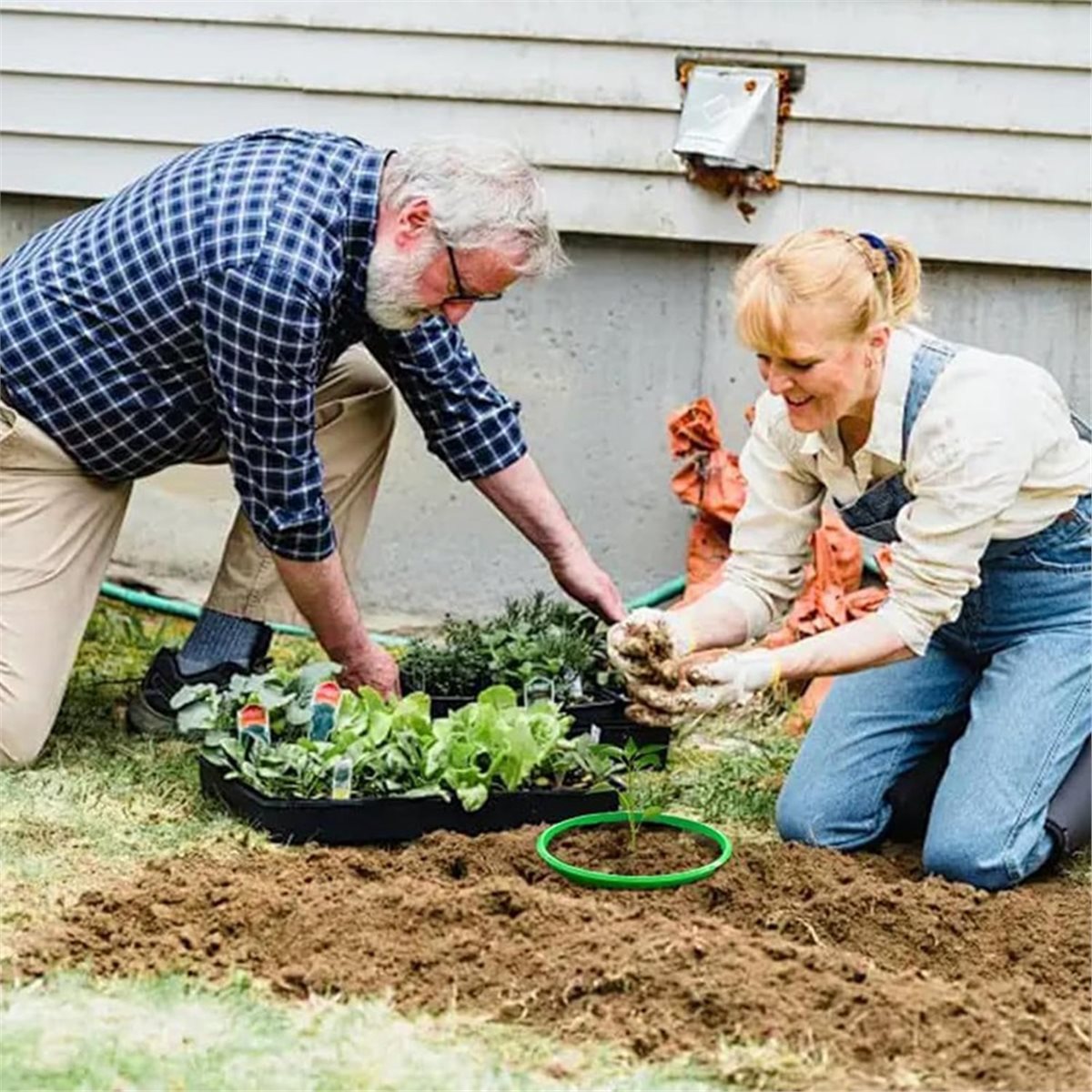 Big Discount 4 Plant Guard Rin - Gardening Tools Big recension och pris