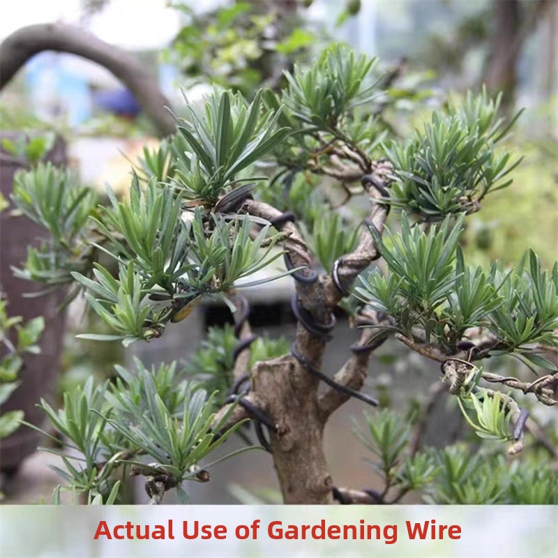 1.5MM Bonsai Wires Aluminum Bo - Gardening Tools Diy recension och pris