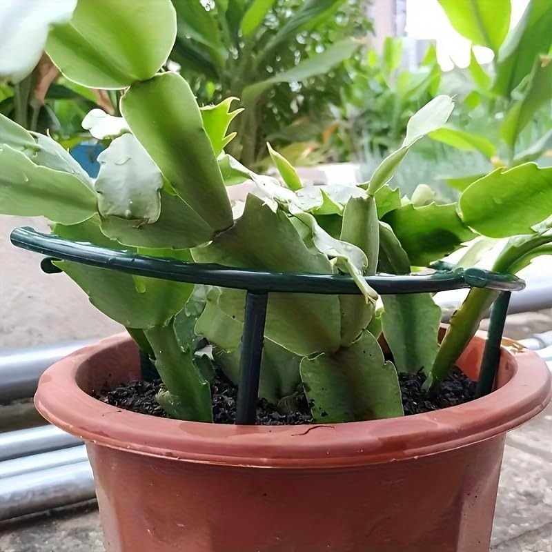 30-1PCS Plastic Plant Support  - Gardening Tools Gifts recension och pris