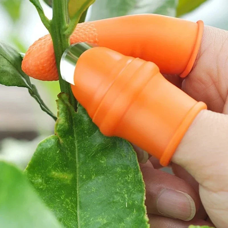 Thumb Knife Vegetable Picking  - Gardening Tools Knife recension och pris