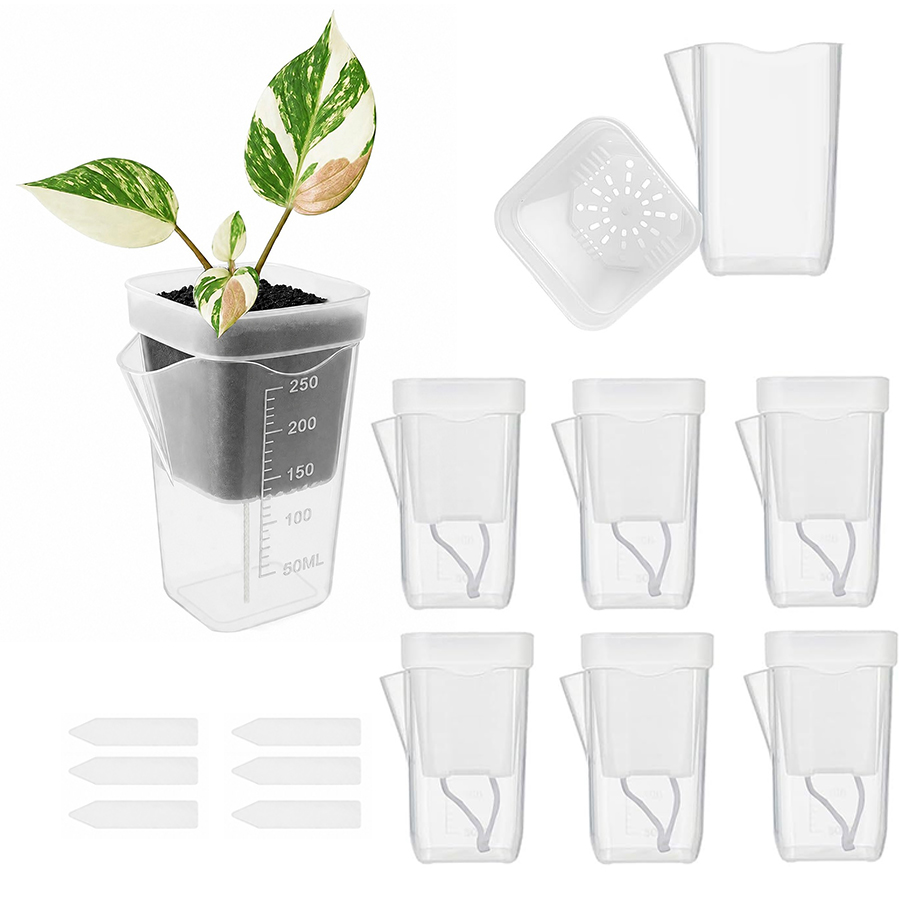 12/24PCS Self Watering Succule - Gardening Tools Kit For Home Garden recension och pris