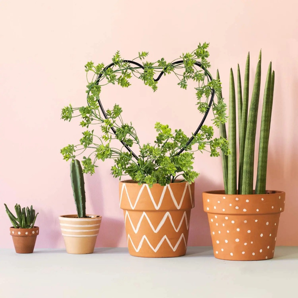 1Pc Plant Support Garden Stake - Gardening Tools Australia recension och pris