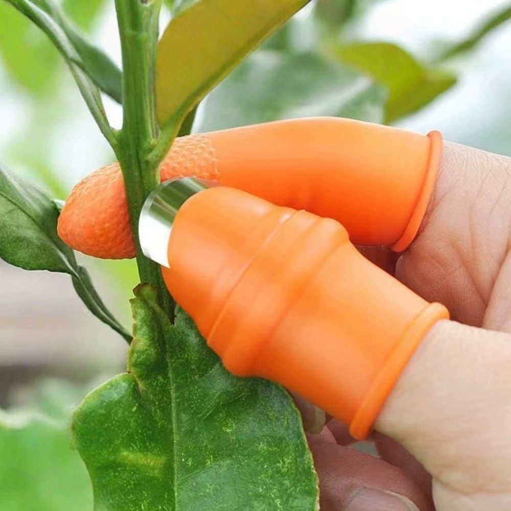 Vegetable Picking Stainless St - Gardening Tools Knife recension och pris