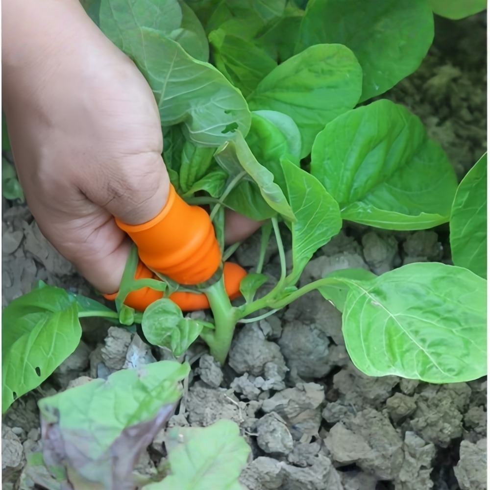 Vegetable Picking Stainless St - Gardening Tools Knife recension och pris